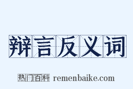 辩言反义词是什么意思的图片